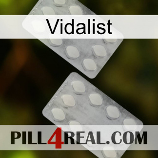Vidalist 17